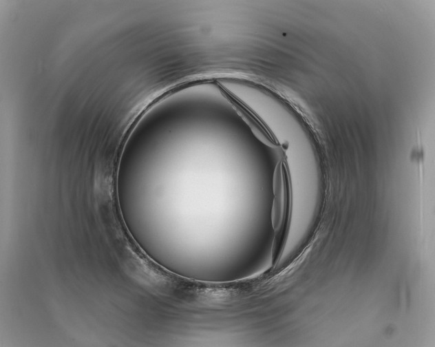 X0000090931177200708131447