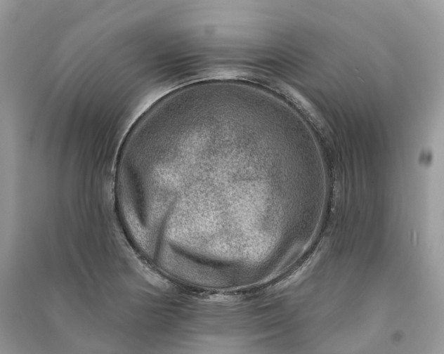 X0000090931178200708131447