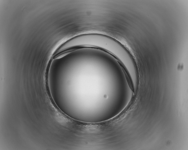 X0000090931181200708131447