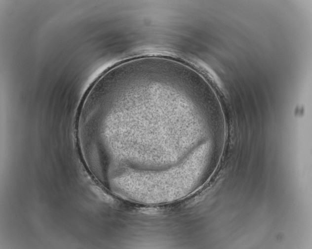 X0000090931182200708131447