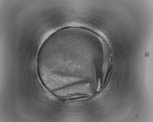 X0000090931183200708131447