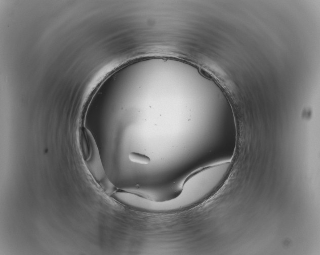 X0000090931188200708131447