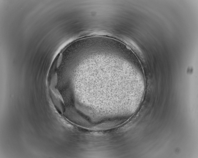 X0000090931190200708131447