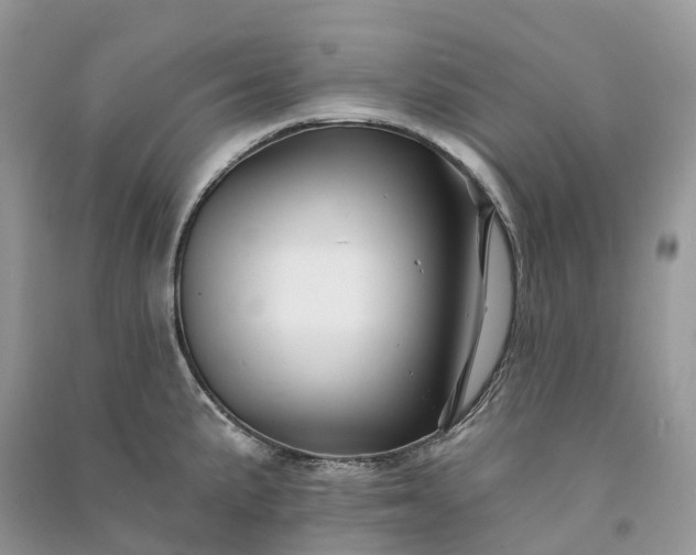 X0000090931191200708131447