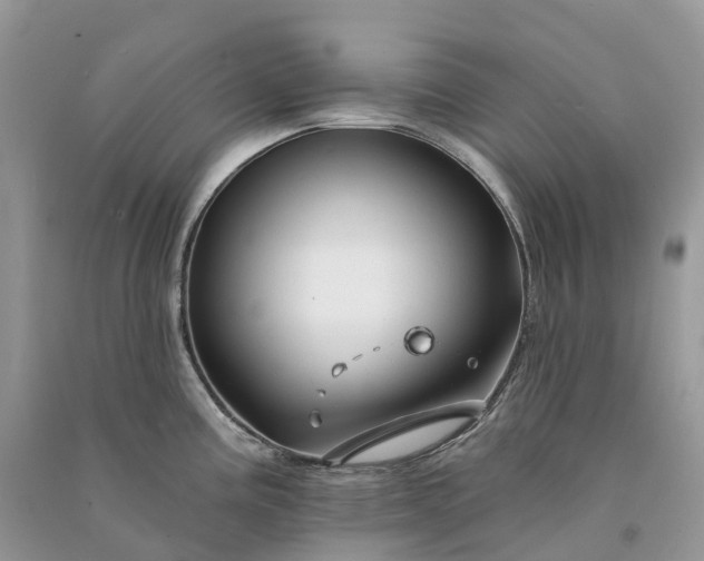 X0000090931195200708131447