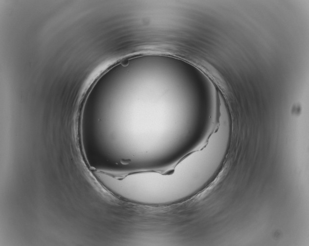 X0000090931196200708131447