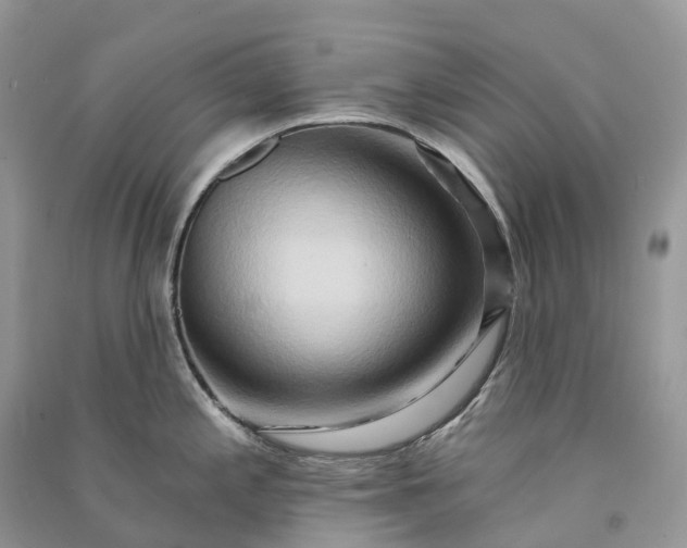 X0000090931197200708131447