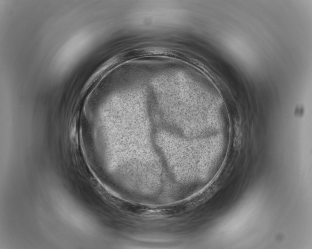 X0000090931198200708131447