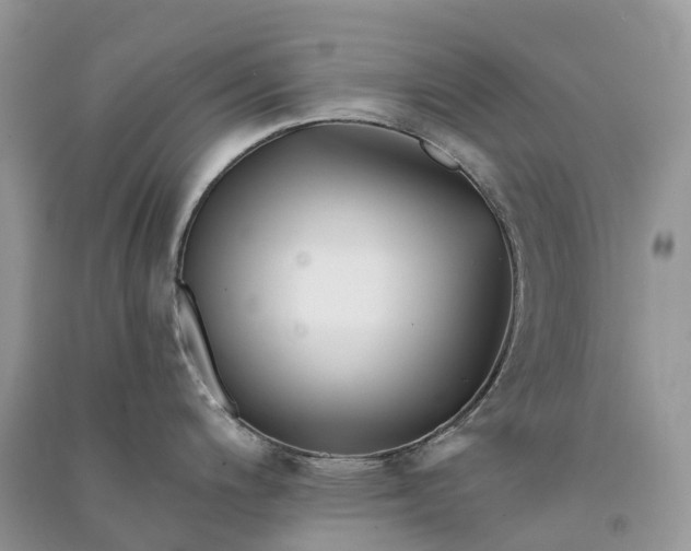 X0000090931200200708131447