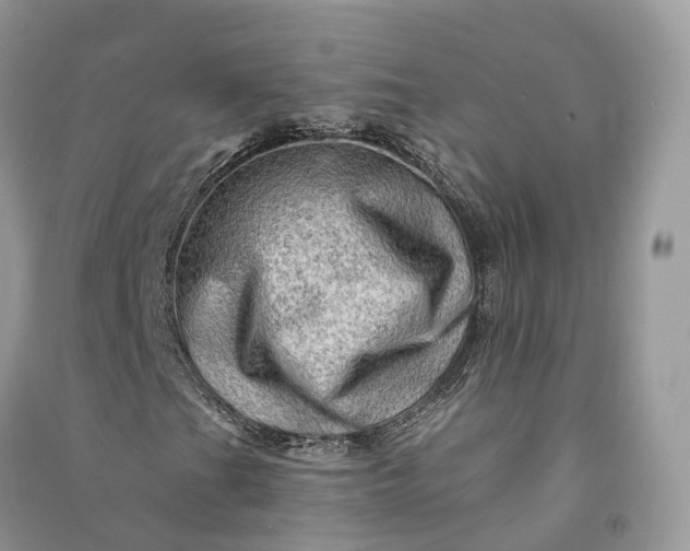 X0000090931201200708131446