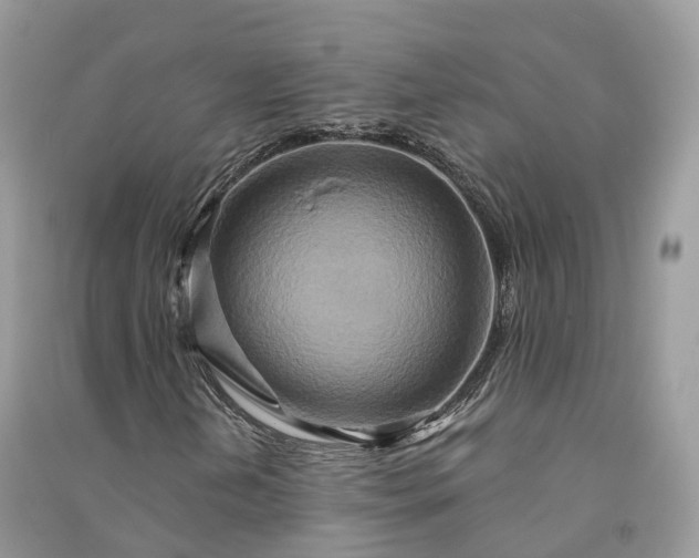 X0000090931202200708131446