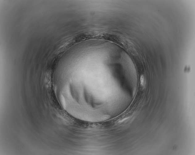 X0000090931203200708131446