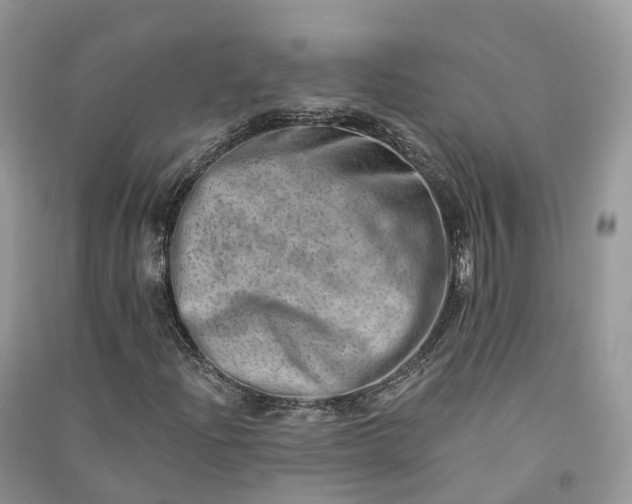 X0000090931204200708131446