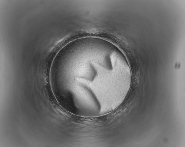 X0000090931205200708131446