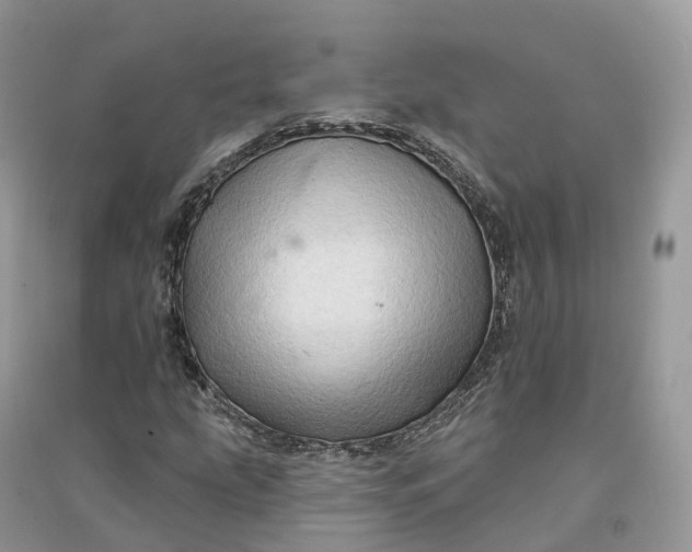 X0000090931207200708131446