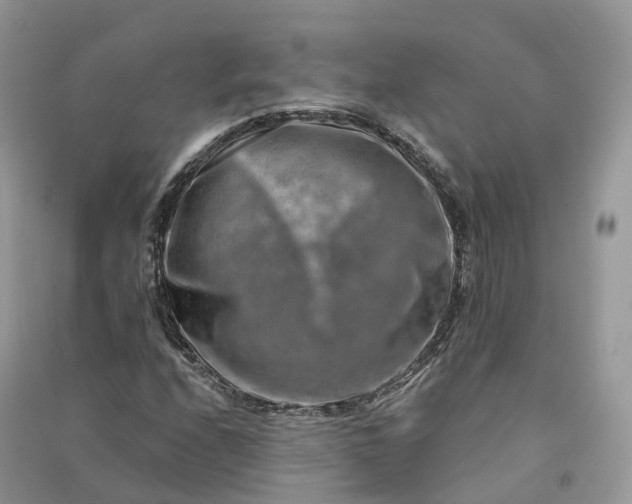 X0000090931208200708131446