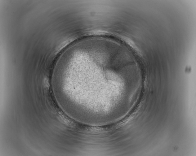 X0000090931209200708131446