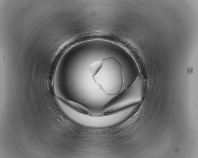 X0000090931210200708131446