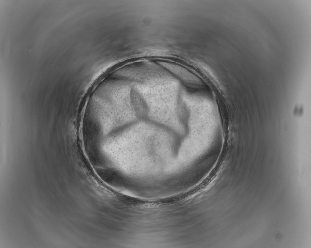 X0000090931212200708131446