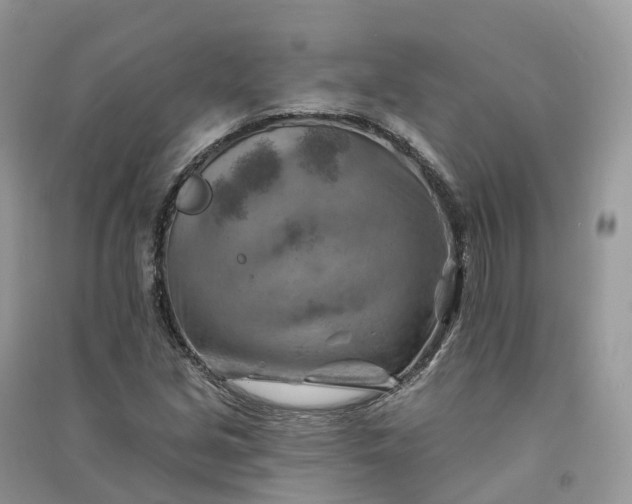 X0000090931213200708131446