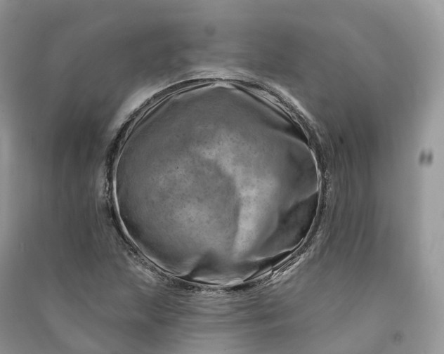 X0000090931215200708131446