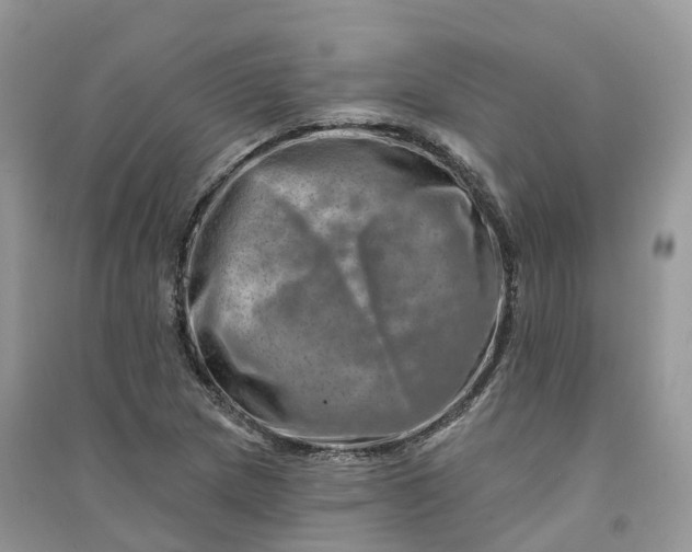 X0000090931217200708131446