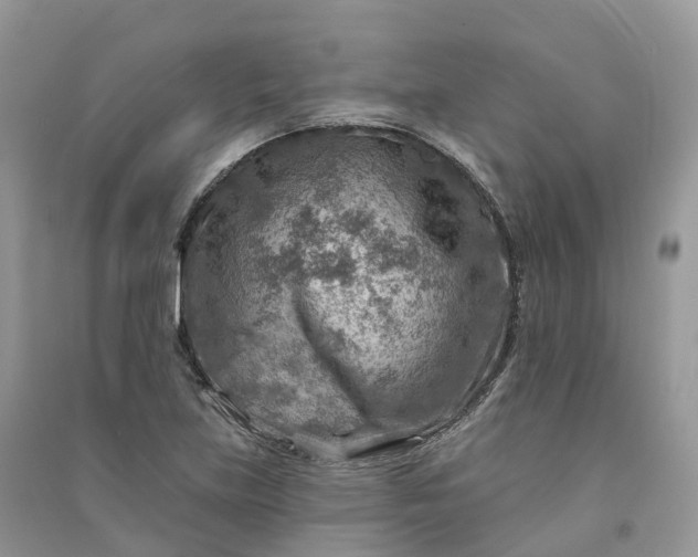 X0000090931219200708131447