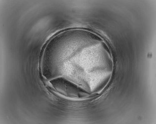 X0000090931220200708131447