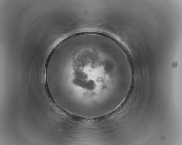 X0000090931221200708131447