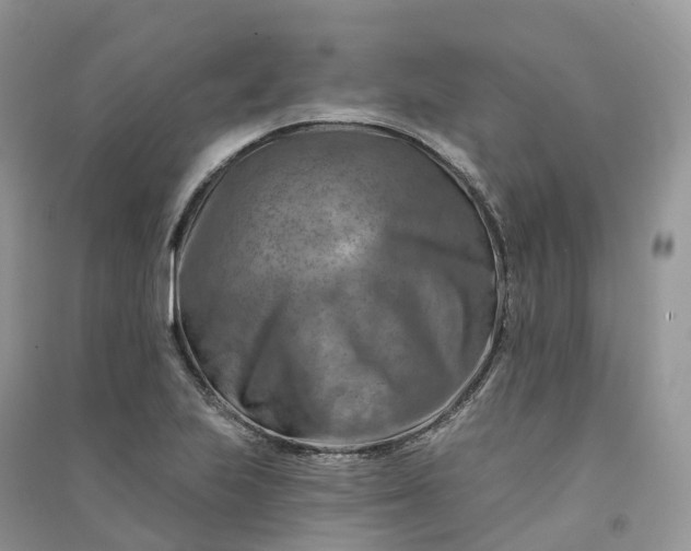 X0000090931223200708131447