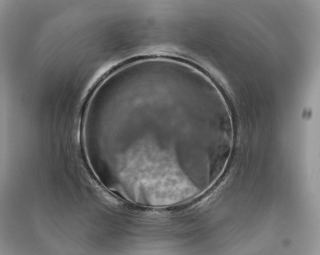 X0000090931224200708131447