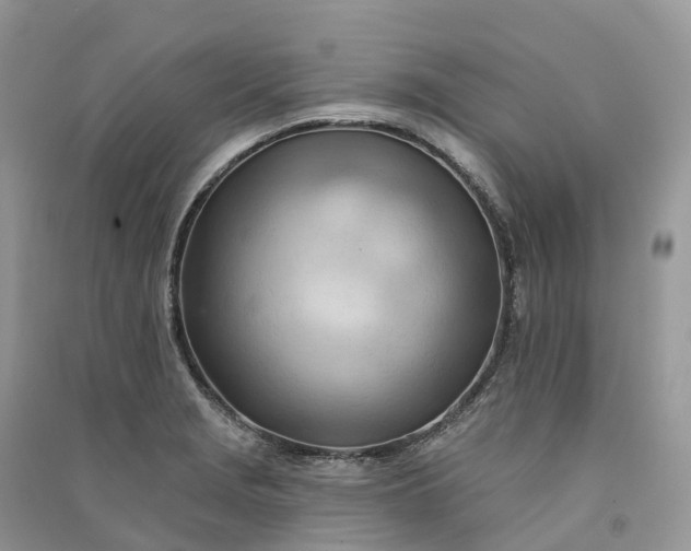 X0000090931229200708131447