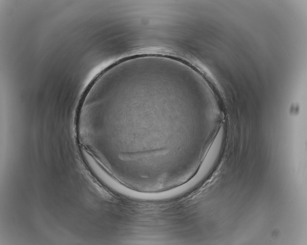 X0000090931230200708131447