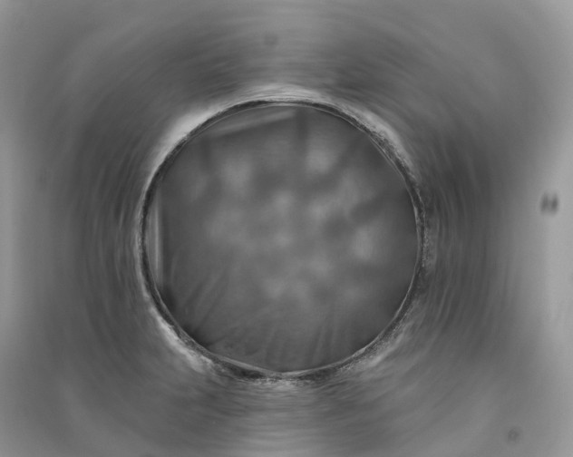 X0000090931231200708131447