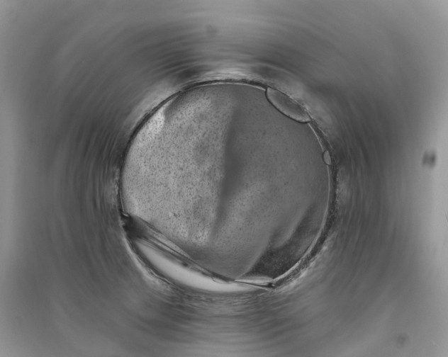 X0000090931233200708131447