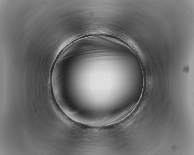 X0000090931234200708131447