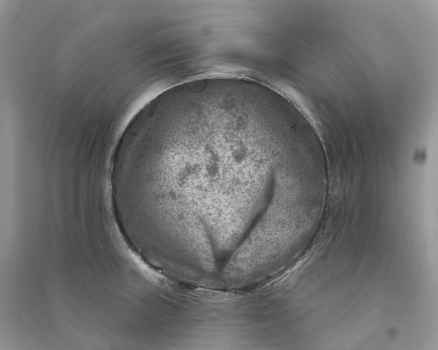 X0000090931235200708131447