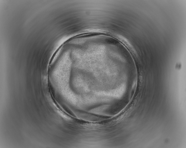 X0000090931236200708131447