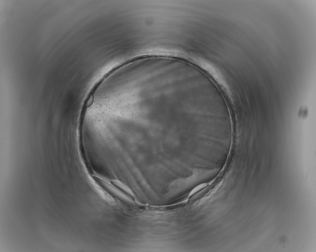 X0000090931237200708131447