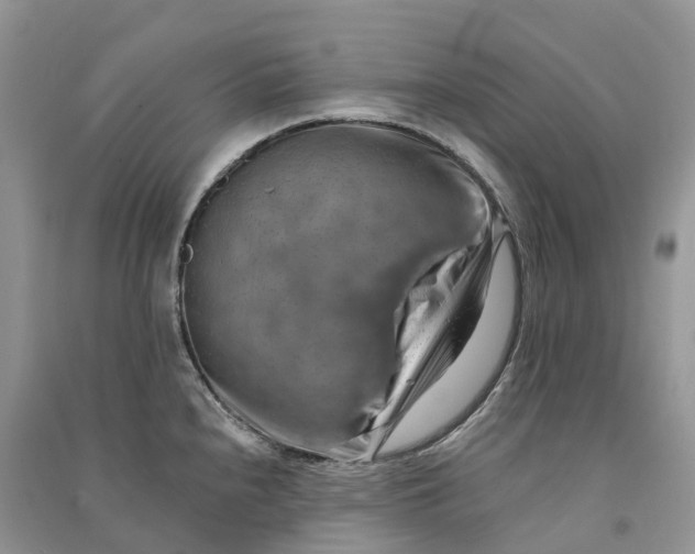 X0000090931240200708131447