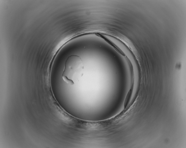 X0000090931242200708131447