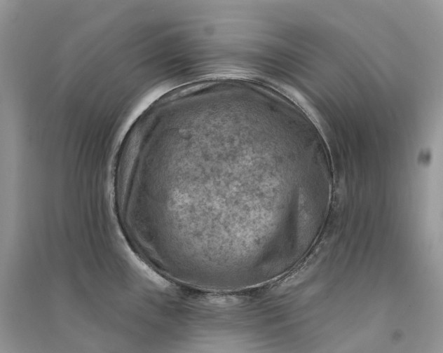 X0000090931243200708131447