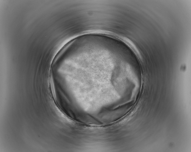 X0000090931244200708131447