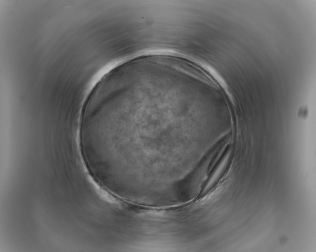 X0000090931245200708131447