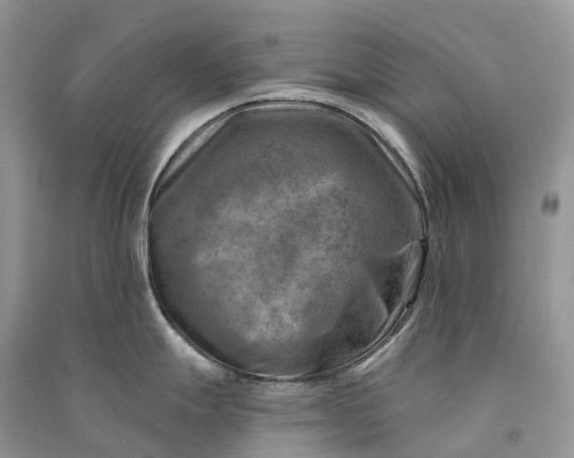 X0000090931247200708131447