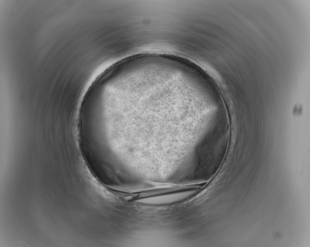 X0000090931248200708131447