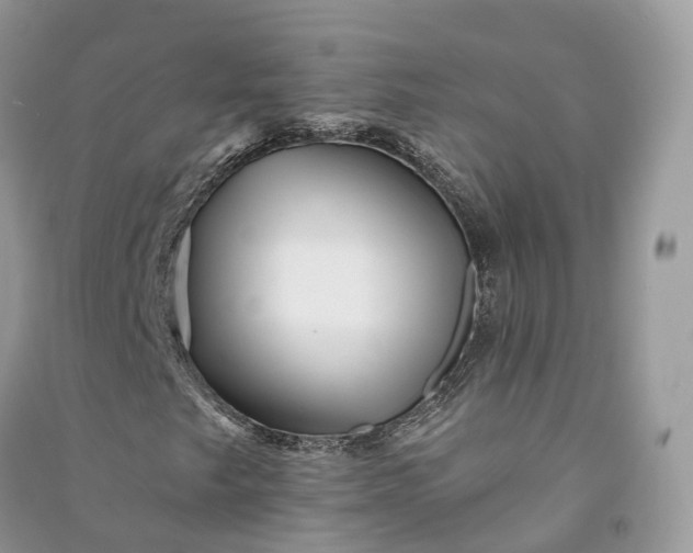 X0000090931249200708131446