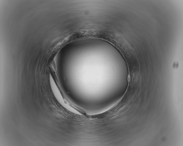 X0000090931250200708131446