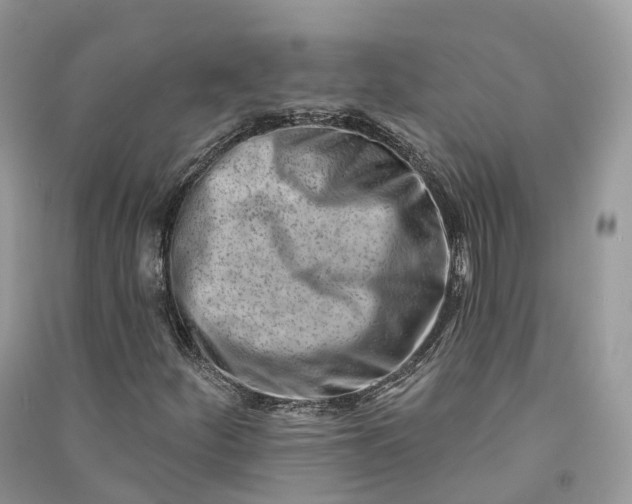 X0000090931252200708131446