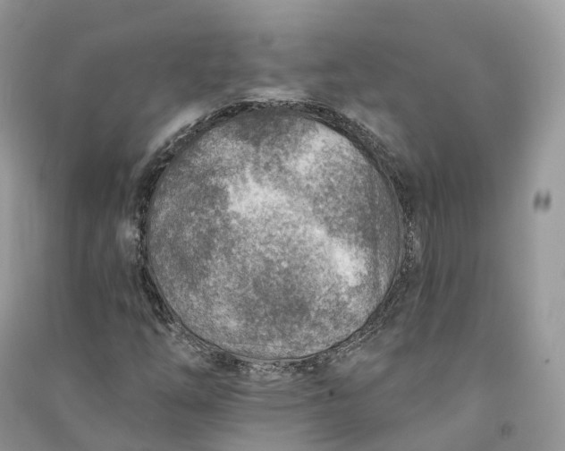 X0000090931254200708131446